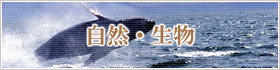 自然・生物