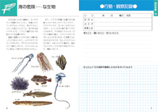 海の危険（きけん）な生物