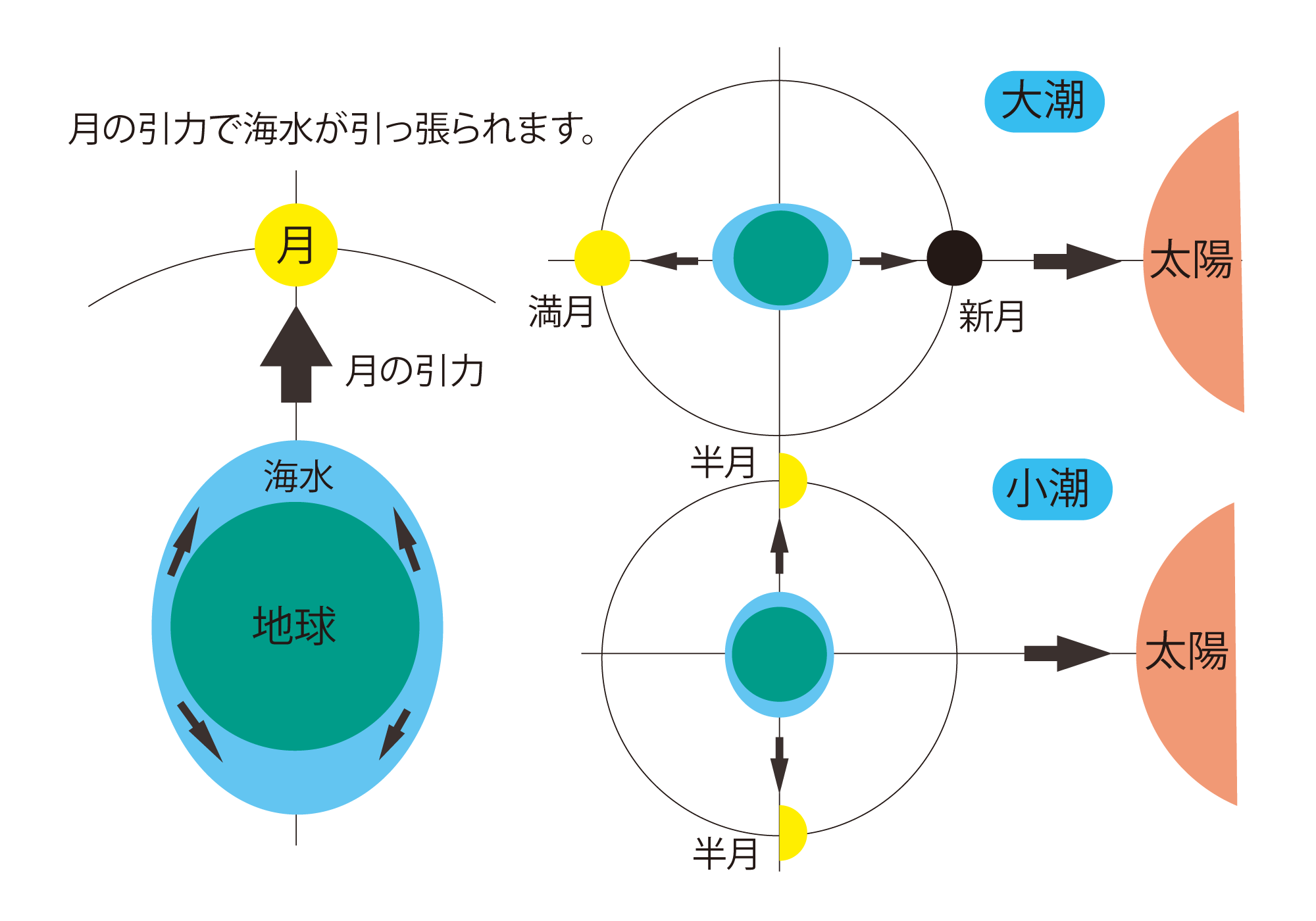 潮の満ち引き 海の自然のなるほど 海と船なるほど豆事典 日本海事広報協会