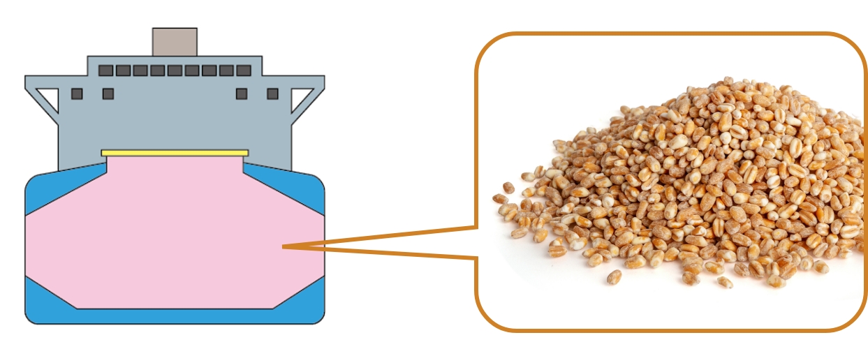 船をタテに切ってみると