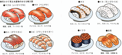 海の生物のなるほど 水産物の輸入と輸出