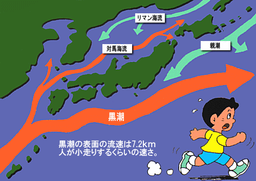 の 海流 日本 周り の 海に囲まれている国、日本