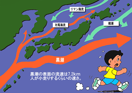 海の自然のなるほど 日本近海の海流