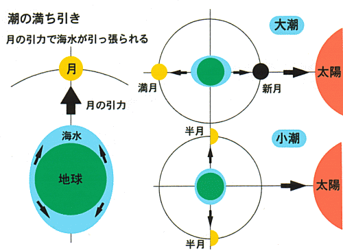 海の自然のなるほど 潮の満ち引き